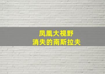 凤凰大视野 消失的南斯拉夫